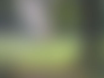 June Master Zoom Recording