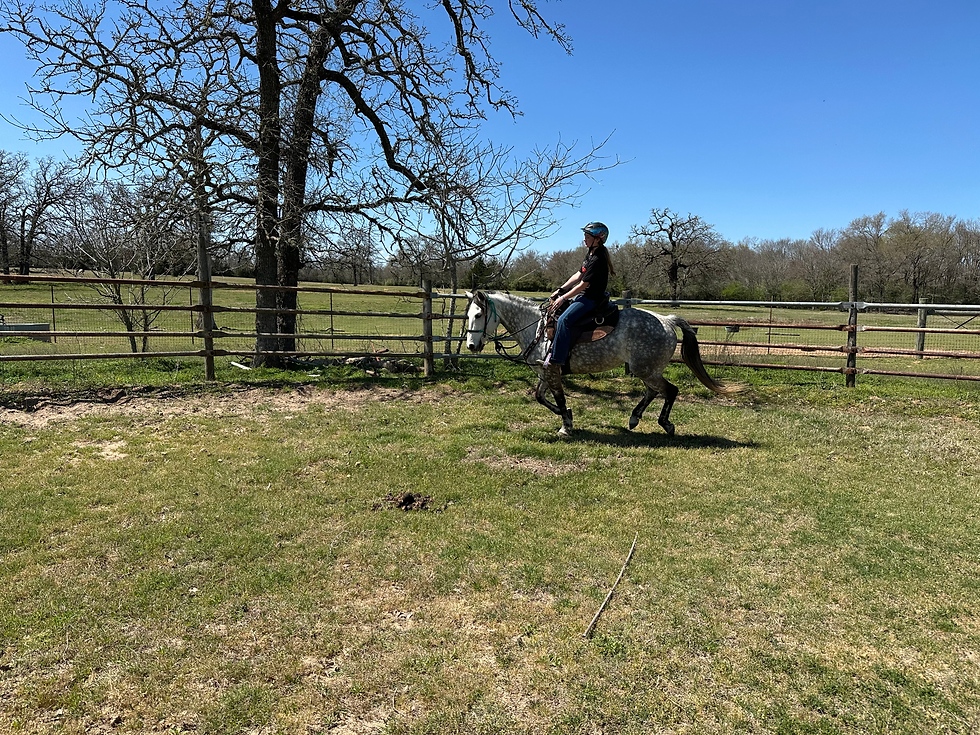 Trainer’s Tip Tuesday