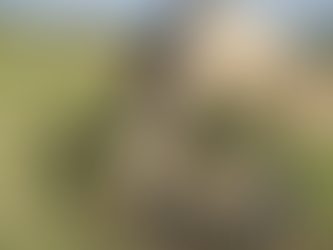 Trainer’s Tip Tuesday