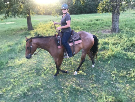 Trainer’s Tip Tuesday