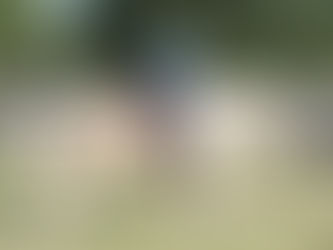 Trainer’s Tip Tuesday