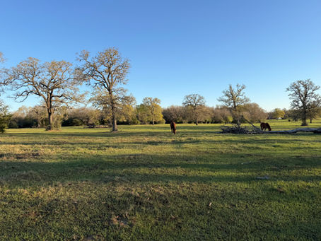 Tarrin’s Tips and Tricks