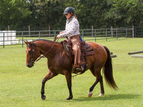 Trainer’s Tip Tueday