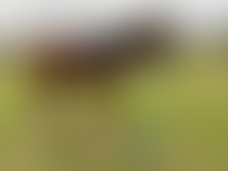 Trainer’s Tip Tuesday