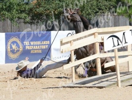 Trainer’s Tip Tuesday