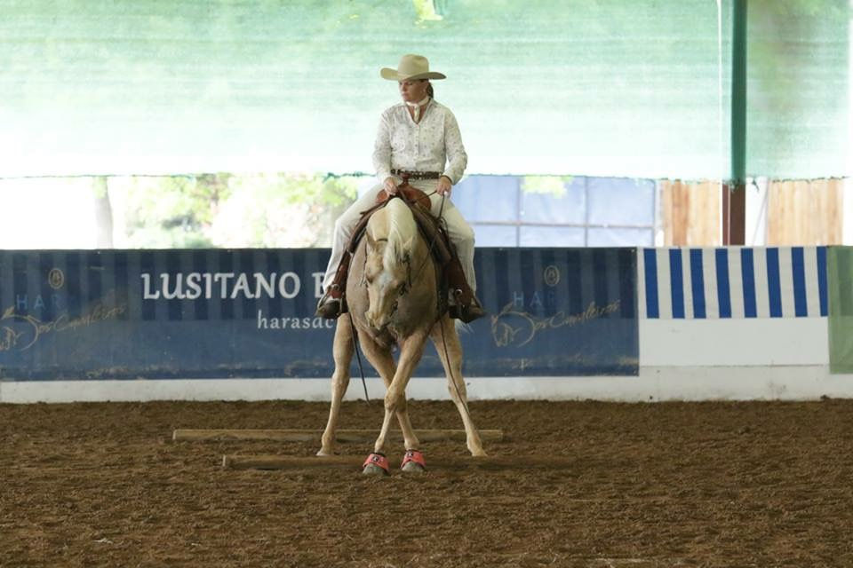 Trainer’s Tip Tuesday