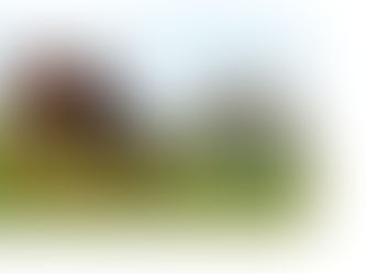 Favorite Things Friday