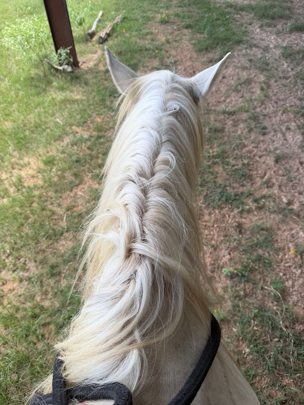 Tarrin’s Training Tips