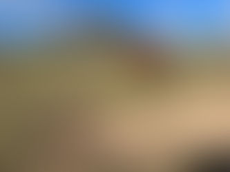 Trainer’s Tip Tuesday