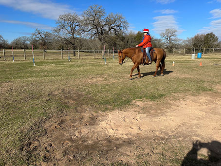 Trainer’s Tip Tuesday