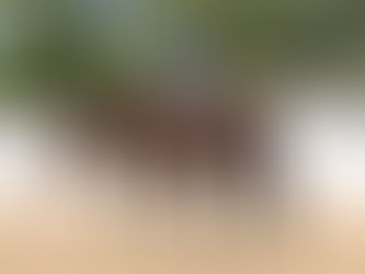 Trainer’s Tip Tuesday