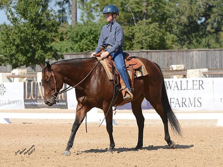 Trainer’s Tip Tuesday