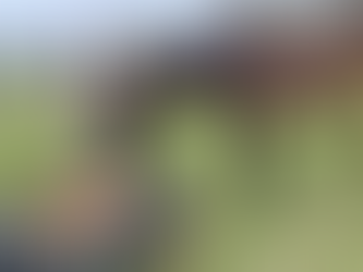 Trainer’s Tip Tuesday