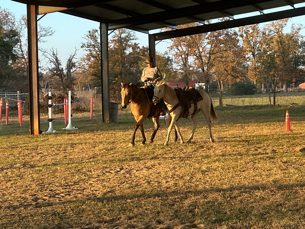 December Master Zoom Recording