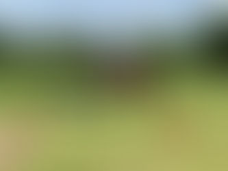 Trainer’s Tip Tuesday