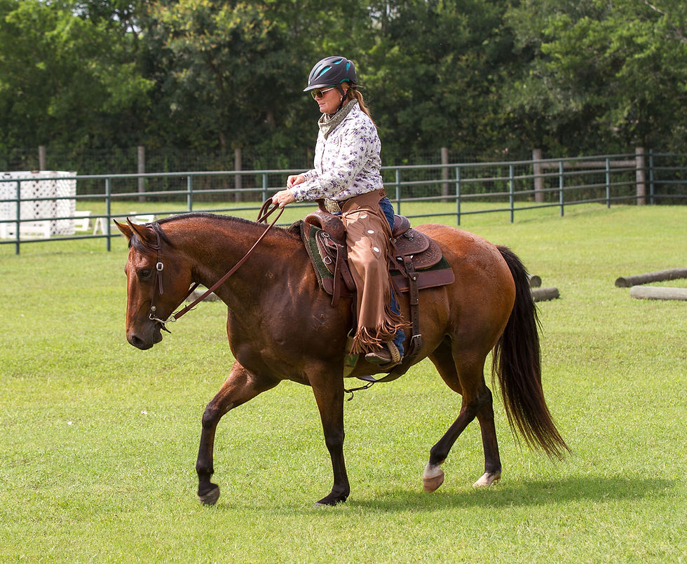 Trainer’s Tip Tuesday