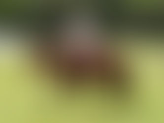 Trainers Tip Tuesday