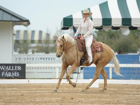 Contribution to Listening to the Horse Movie Part 1