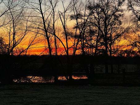 Trainer’s Tip Tuesday