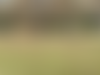 Favorite Things Friday