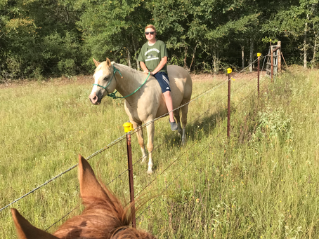 Trainer’s Tip Tuesday