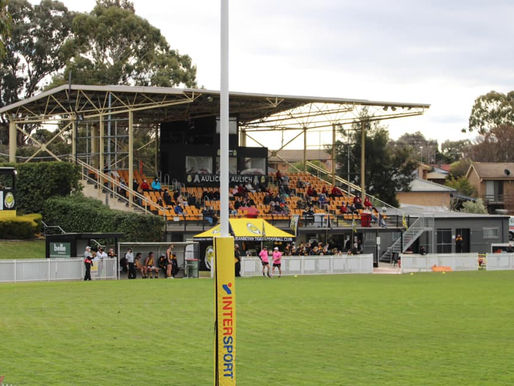 Tigers back home and enjoy 3 from 4 wins!