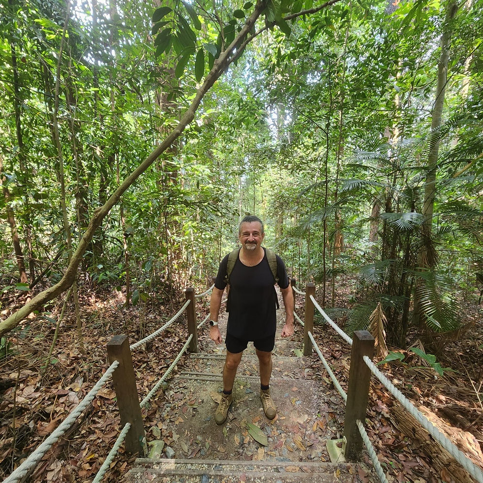 Training on Singapore's Bukit Timah Hill, equatorial rain forest.