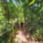 Health benefits walking