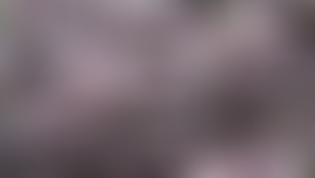 Herbs for Health: Perilla (Shiso)