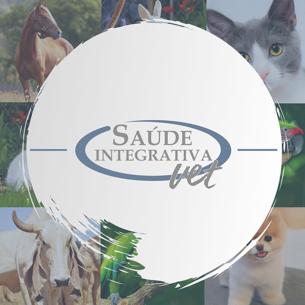 Saúde Integrativa Vet