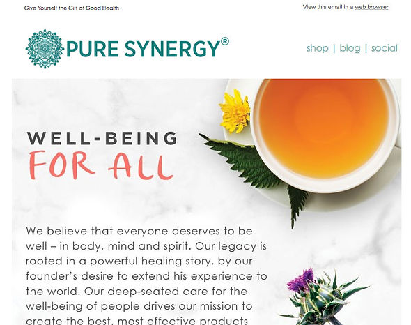 Pure Synergy Product Email