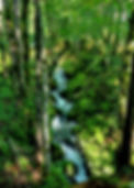 20230816_103527.jpg