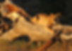 07a - Assurance Front.png
