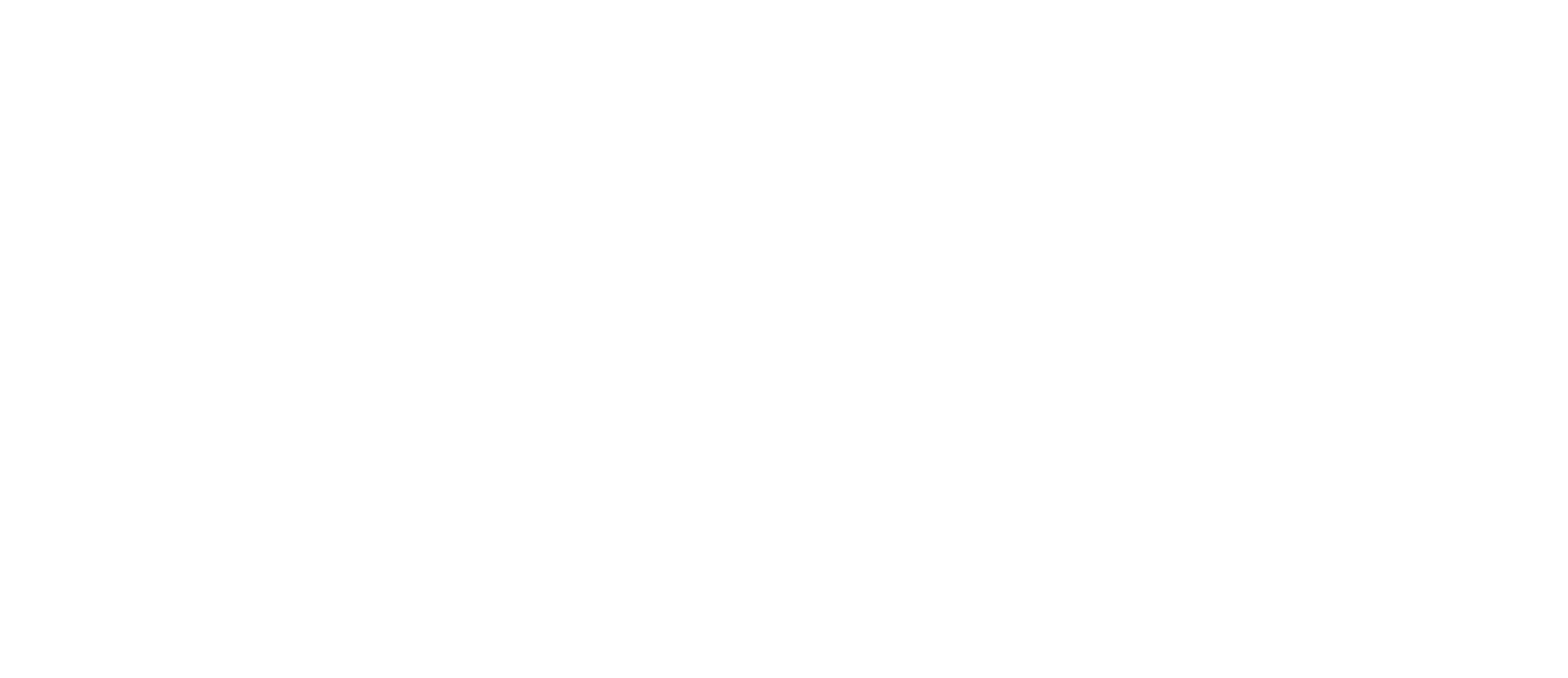 LOGO_AAM_Bianco_rgb.png