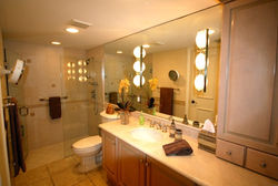 Master Bath and Shower