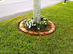 Creative Landscaping