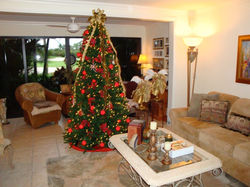 Christmas Season