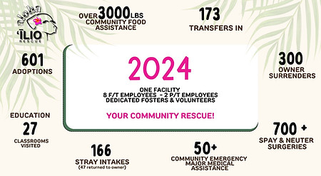 Copy of 2024 stats-2.jpeg