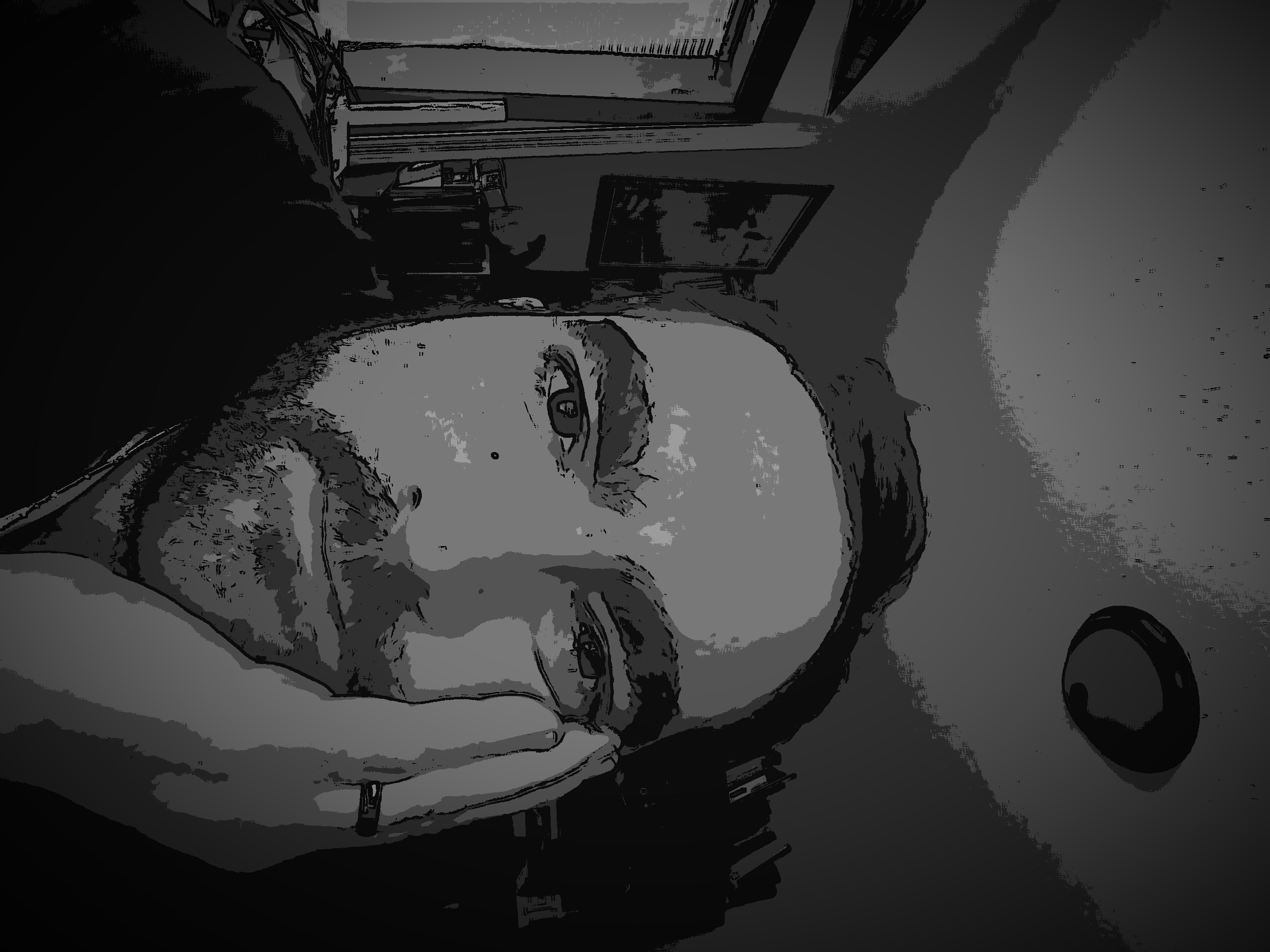 Writer: N. D. Greenman