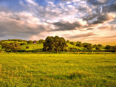 Quadros complexos em sua extensão