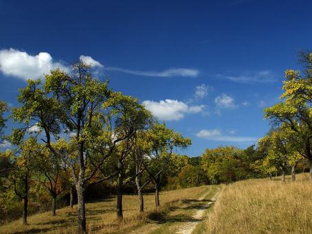 Cores de um mundo peculiar
