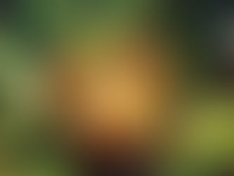 A consagração de uma história, como um ponto de referência