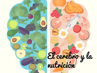 El cerebro y la nutrición