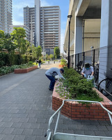 駅の東側高架下通路の花壇