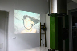 906528_454231631318490_715371157_o