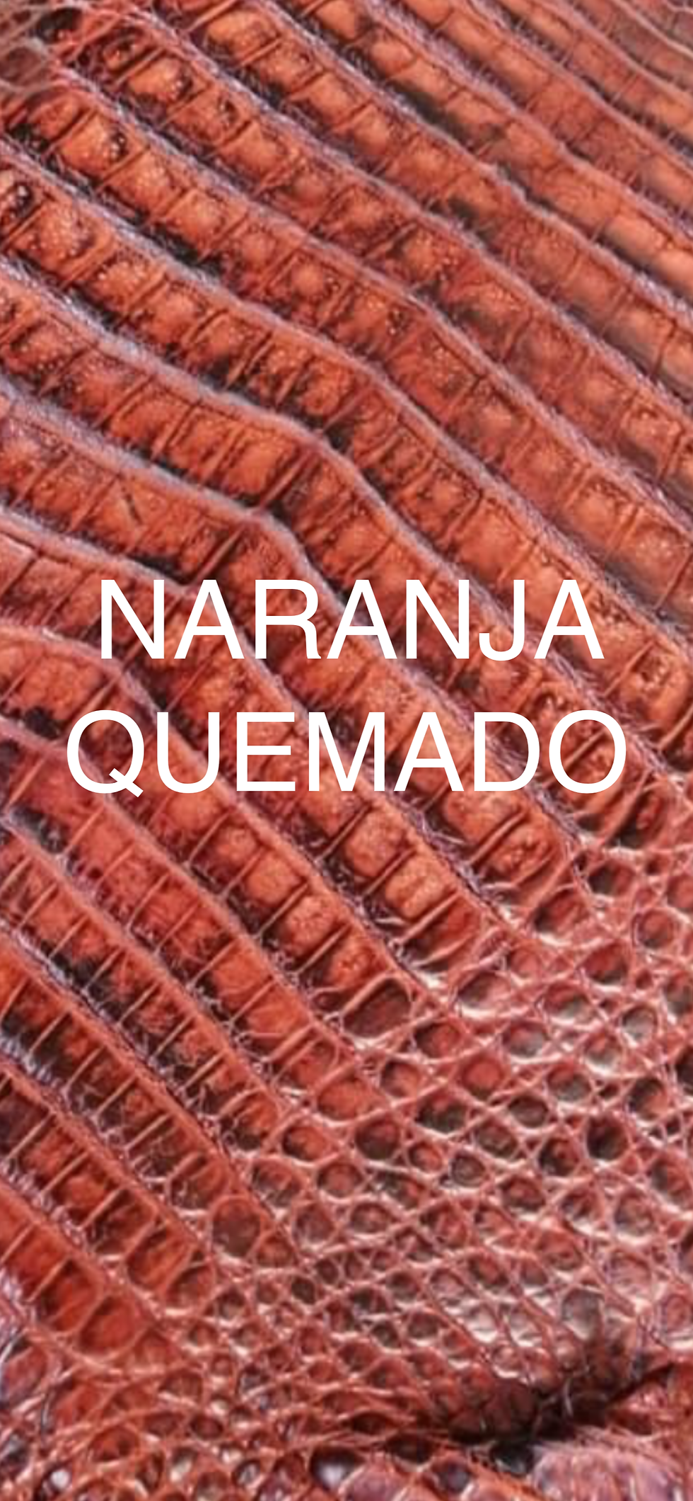 Miniatura: FUNDA DE PIEL DE COCODRILO ( FORRADO COMPLETO)