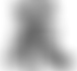 お寺のお便り「厳念寺だより」を公開しました