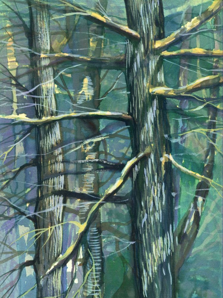 Pitch pines