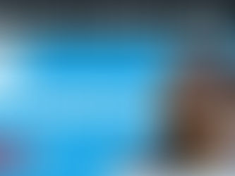 Changer de template Wix - Tuto complet