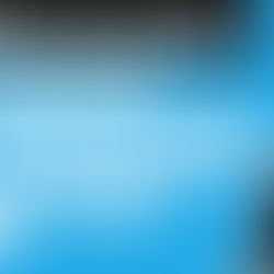 Contacter Wix par téléphone - Tuto complet